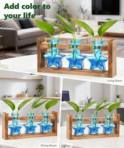 Nacome Star Glass Propagation Stations: Plant Terrarium with Wooden Stand Vase for Home Office Desk Decor, Unique Gifts for Plant Lovers Women Mom (Blue)