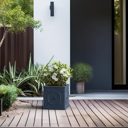 Kante Square Lion Head Concrete Planter, Classic English Style Plant Pot with Drainage Hole and Rubber Plug for Indoor Outdoor Garden Patio Home, 10.2"x10.2"x 10.2",Gravel Gray