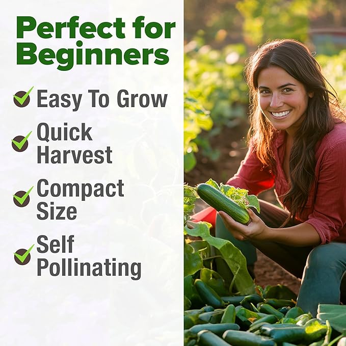 HOME GROWN 𝗨𝗦𝗔 𝗣𝗥𝗘𝗠𝗜𝗨𝗠 Persian Cucumber Seeds – 50+ Heirloom Non-GMO, High-Yielding Beit Alpha Variety | Fast Growing, Sweet Tender Skin, Home Vegetable Garden Seeds (Cucumis sativus)