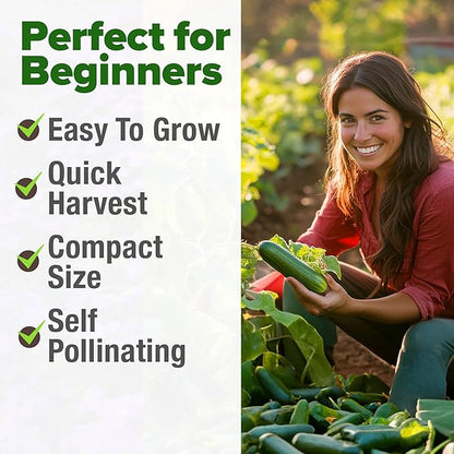 HOME GROWN 𝗨𝗦𝗔 𝗣𝗥𝗘𝗠𝗜𝗨𝗠 Persian Cucumber Seeds – 50+ Heirloom Non-GMO, High-Yielding Beit Alpha Variety | Fast Growing, Sweet Tender Skin, Home Vegetable Garden Seeds (Cucumis sativus)