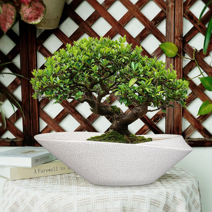 Bonsai Pots - 18 Inch Ceramic Plant Pot for Bonsai Tree, Modern Indoor & Outdoor Succulent Planter with Drainage, Room Decor, Gifts for Plant Lovers, White-Black