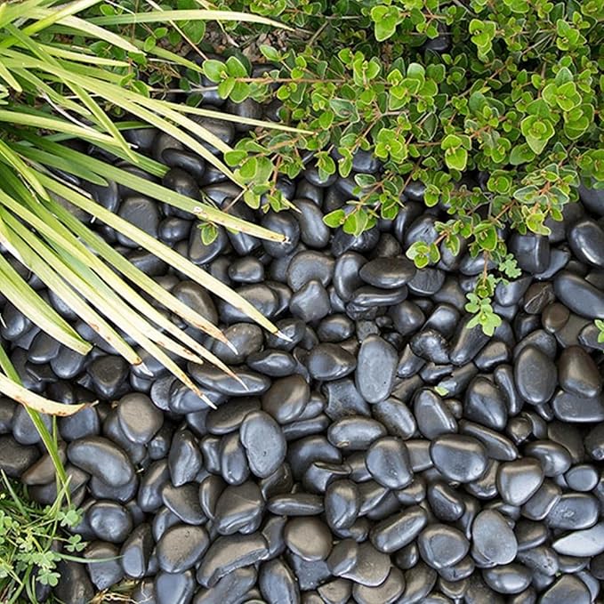 10lbs Black River Rocks, 2-3 Inch Large Pebbles for Indoor Plants, Natural High Polished Decorative Stones for Vase Filler Fish Tank