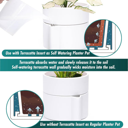 Phoenix Vine 6.5 Inch Self-Watering Planter Pot with Terracotta Insert, Deep Water Reservoir, and Ceramic-Alike BPA-Free Plastic Pot for Plant, Modern Planter for Houseplants, White, 53-A-S-1