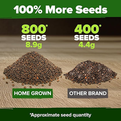 HOME GROWN 𝗨𝗦𝗔 𝗣𝗥𝗘𝗠𝗜𝗨𝗠 Cherry Belle Radish Seeds 800+ 𝗡𝗢𝗡-𝗚𝗠𝗢 Heirloom Vegetable Seeds for Planting Outdoors Harvest in 30 Days Red Radishes, Spring and Fall Gardens (Raphanus Sativus)