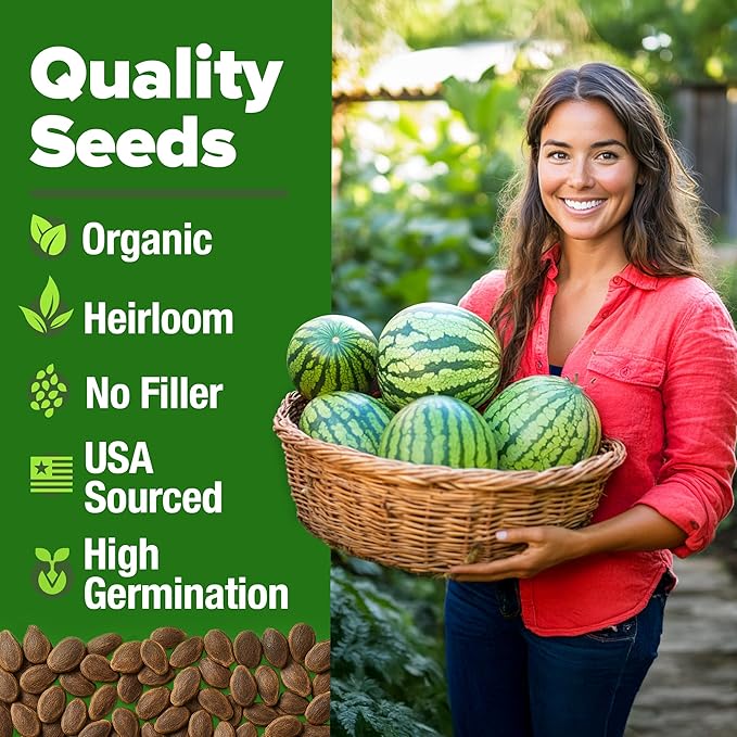 HOME GROWN 𝗨𝗦𝗔 𝗣𝗥𝗘𝗠𝗜𝗨𝗠 𝗢𝗥𝗚𝗔𝗡𝗜𝗖 Watermelon Vegetable Seeds (Crimson Sweet) – 15 Non-GMO, Heirloom Water Melon (7g) for Planting in Home Gardens or Beds Outdoors – Citrullus lanatus