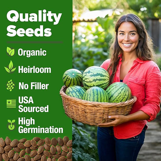 HOME GROWN 𝗨𝗦𝗔 𝗣𝗥𝗘𝗠𝗜𝗨𝗠 𝗢𝗥𝗚𝗔𝗡𝗜𝗖 Watermelon Vegetable Seeds (Crimson Sweet) – 15 Non-GMO, Heirloom Water Melon (7g) for Planting in Home Gardens or Beds Outdoors – Citrullus lanatus