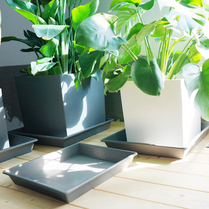 Square Plant Saucer 6 Inch 5 Pack6 8 12 14 16 18 20 Plastic Plant Saucers for Indoors Outdoors, Flower Pot No Holes Plant Drip Trays, Plant Trays for Pots Heavy Duty