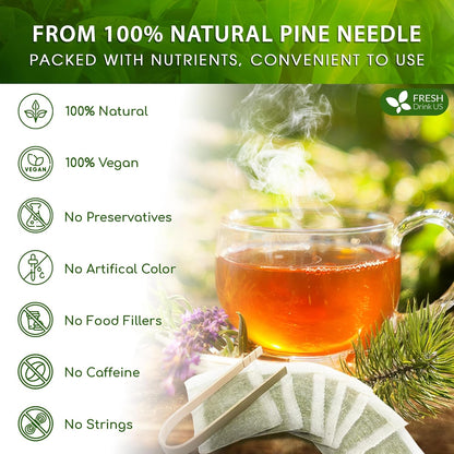 FreshDrinkUS, Pine Needle Tea Bags – 135 Tea Bags, Naturally Caffeine-Free, Refreshing Herbal Tea, Wild-Harvested Pine Leaves, Aromatic and Soothing – Non-GMO & Eco-Friendly Packaging