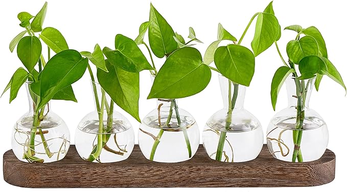 Mkono Desktop Plant Propagation Glass Station Retro Terrarium with Wooden Tray Bulb Vase for Hydroponic Home Indoor Decor Brown, Plant Lover Gift