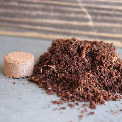 Minute Soil - Compressed Coco Coir Fiber Grow Medium - 20 MM Pellets - Bag of 100 = 5 Quarts of Potting Soil - Indoor Growing: House Plants, Herbs, Microgreens, Just Add Water - Peat Free - OMRI