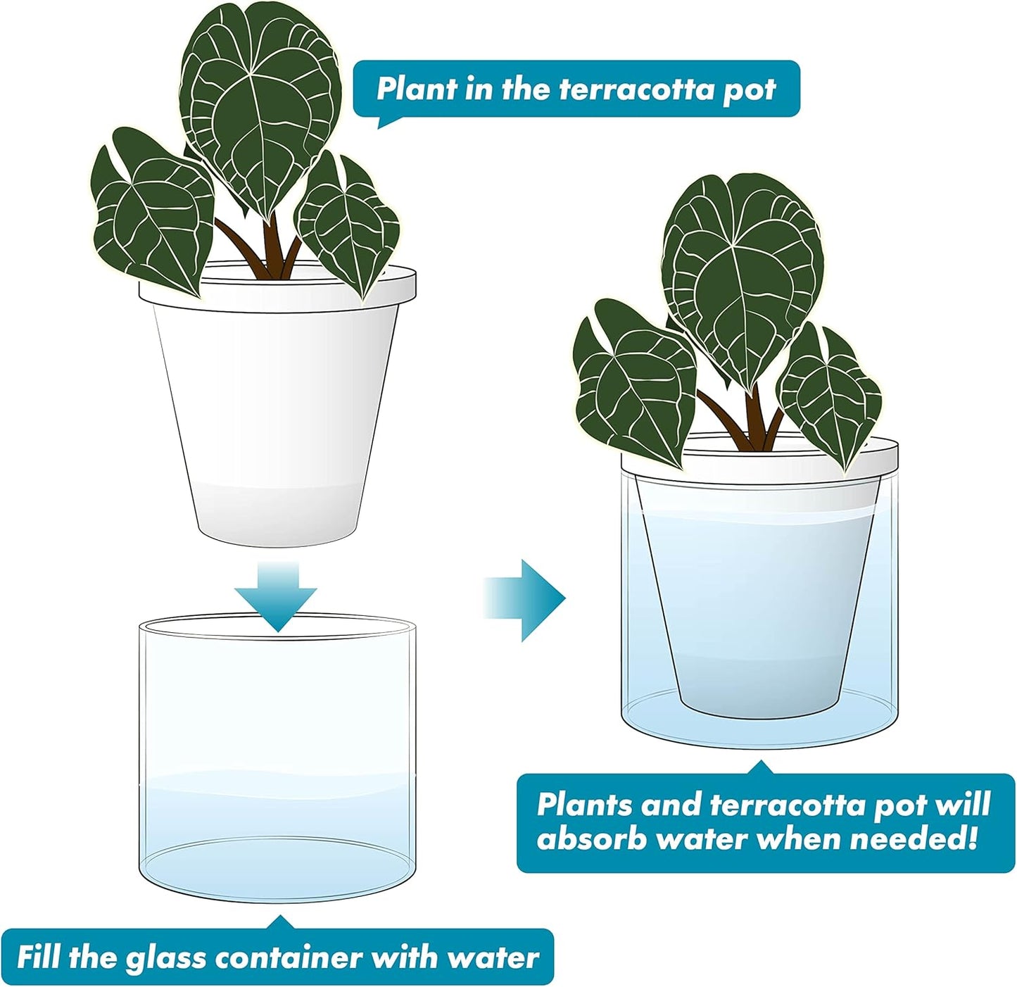 D'vine Dev 6 Inch Design Self Watering Planter for Indoor Plants, White Terracotta Pots with Cylinder Glass Cup, 37-X-B-2