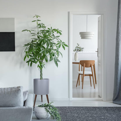 D'vine Dev 12 Inch Planter Pot with Stand, Mid-Century Tall Plant Pot with Legs for Indoor Plants, Large, Grey, 88-O-C-3