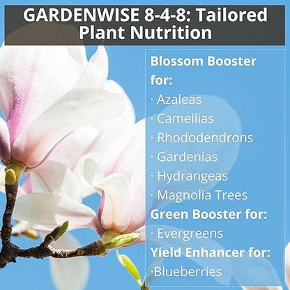 8-4-8 Acidic Fertilizer for Azaleas, Camellias (Camelia), Hydrangeas, Blueberries, Gardenias, Magnolia Trees, Evergreens, and Rhododendrons - Ideal Iron-Rich Plant Food (12 OZ)