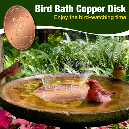 2Pack Bird Bath Copper Disk, 99.99% Pure Copper Cleaning Disc with Four-Point Support, Physical Safe Water Cleaner to Help Maintain Clearer Water for Outdoor Birdbaths & Bowls, All-Season Use