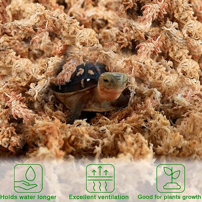 Halatool 4QT Premium Sphagnum Moss for Indoor Plants, Orchid Moss Potting Mix - Natural Sphagnum Moss for Succulents, Carnivorous(Sarracenia), Monstera, Terrarium Substrate & Reptile Habitats