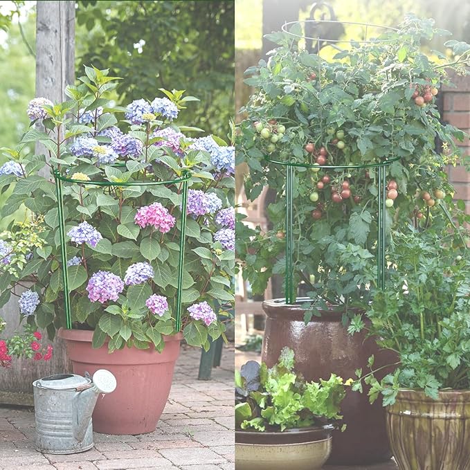 12 Pack Garden Plant Support Stakes, Half Round Peony Cages and Supports, Metal Garden Support Ring, Border Support for Outdoor Indoor Plants, Peony, Hydrangea,Tomato, Monstera