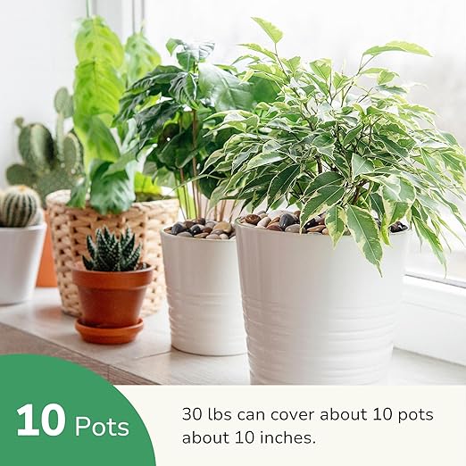 GreatBuddy 30-lb River Rocks, Decorative Rocks for Indoor Plants, 1-1 3/4 Inches Natural Polished Pebbles for Aquarium, Vases, Potted Plants, Garden Landscaping Outdoor, Mixed Color Stones