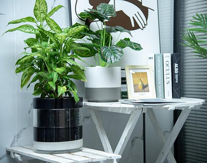 Phoenix Vine 10 Inch Self Watering Terracotta Planter, Black Terracotta Clay Pot with Glass Reservoir for Indoor Plants, Herbs, Flowers, Set of 1, 52-C-I-1