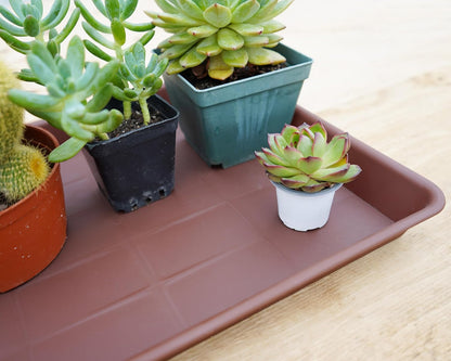 Plant Growing Trays 4 Pack, Plant Tray, 14.5"x11", Heavy Sturdy Plastic Plant Saucer Seed Trays, Seedling Starter Tray, Plant Drip Trays for Indoors, Seed Starter Growing Tray (Chocolate)