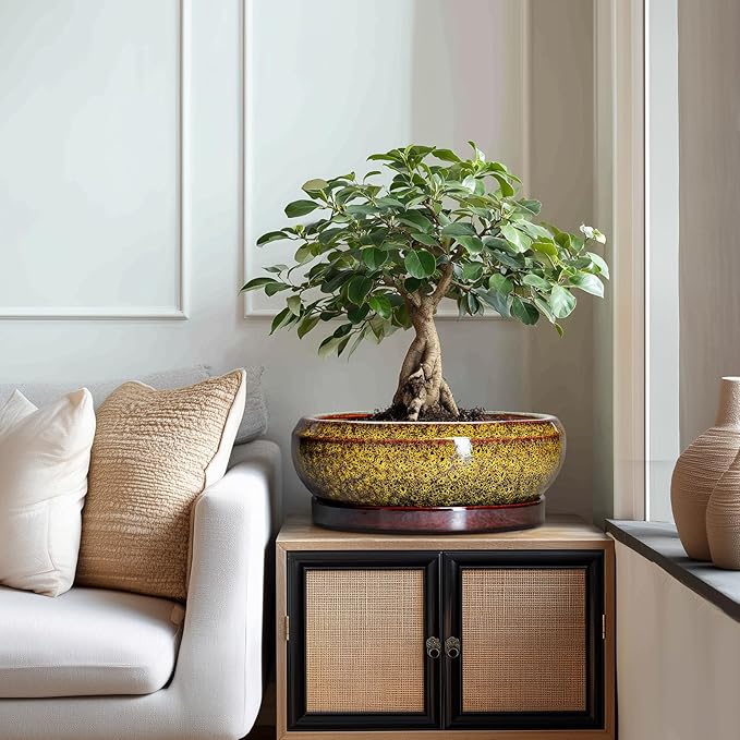 Succulent Pots Large - 13 Inch Ceramic Bonsai Pot with Drainage Hole and Tray, Round Succulent Planters, Shallow Plant Pots Indoor, Bowl Planter Outdoor, Garden Decor, Gardening Gift, Yellow