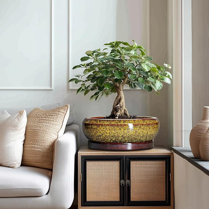 Succulent Pots Large - 13 Inch Ceramic Bonsai Pot with Drainage Hole and Tray, Round Succulent Planters, Shallow Plant Pots Indoor, Bowl Planter Outdoor, Garden Decor, Gardening Gift, Yellow