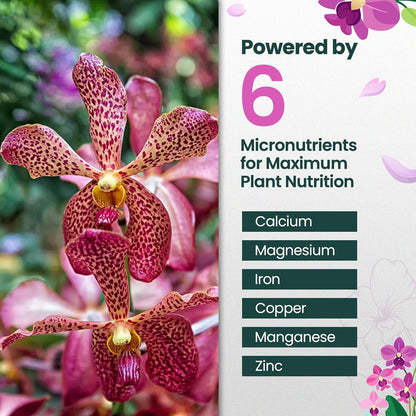 32oz Orchid Fertilizer - Makes 64 Gallons of Orchid Food, Indoor Plant Fertilizer for Orchids Indoors & Outdoors, Indoor Plant Food with Micronutrients for Vibrant Blooms and Strong Roots