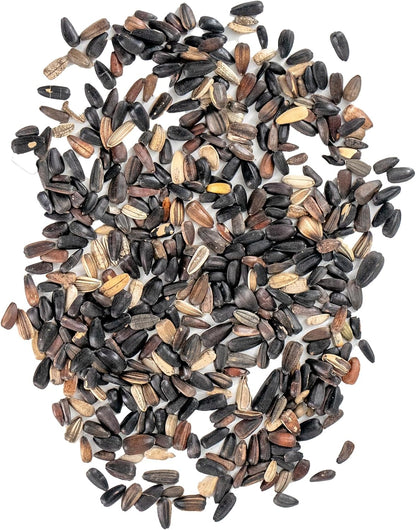 Ferry-Morse Red Shades Mix Bulk Sunflower Seeds, 1lb