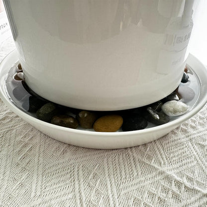 Ceramic Plant Saucers, 10 Inch (11 Inch) Plant Trays, Durable Round Glazed Ceramic Flower Plant Water Drip Tray for Pots Planter, Heavy Duty Plant Dish Plant Plate to Catch Water for Indoor & Outdoor