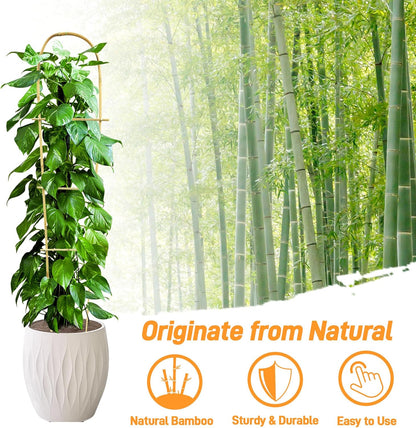 Avalution 10 Pack Bamboo U Trellis for Climbing Plants, 4 FT Garden Ladder Trellis for Potted Plants Indoor, Ladder Small Plant Support Trellis for Houseplants Ivy Hoya Vine Monstera