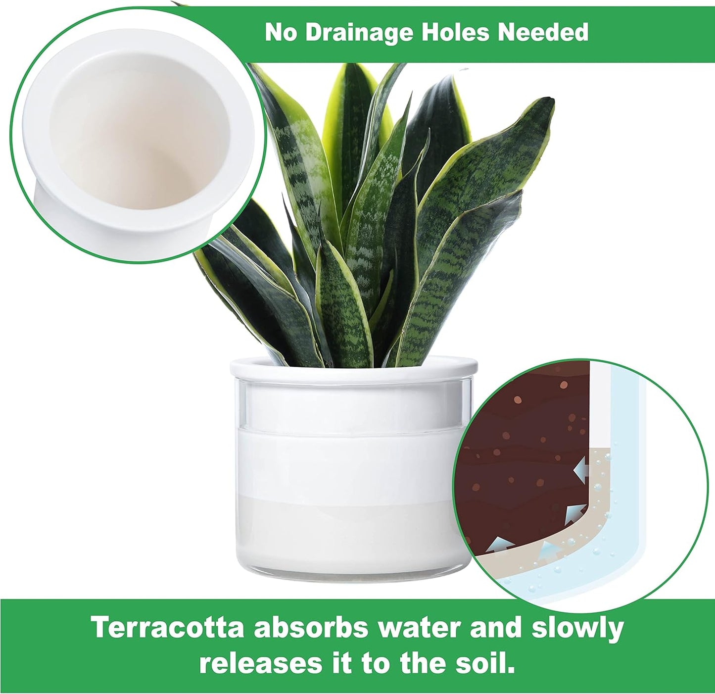 Phoenix Vine 6 Inch 4 Inch Self Watering Planter Pots, Design White Terracotta Pots for Plants, Indoor Cylinder Terra Cotta Pots with Glass Vase Set, 51-B-G-46