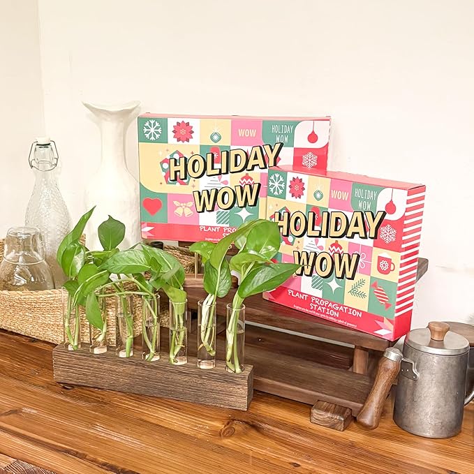 KAXYEW Desktop Glass Plant Propagation Station Test Tube Plant Terrarium in Wooden Stand for Hydroponic Plants Cutting Office Home Decoration