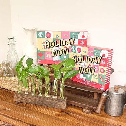 KAXYEW Desktop Glass Plant Propagation Station Test Tube Plant Terrarium in Wooden Stand for Hydroponic Plants Cutting Office Home Decoration