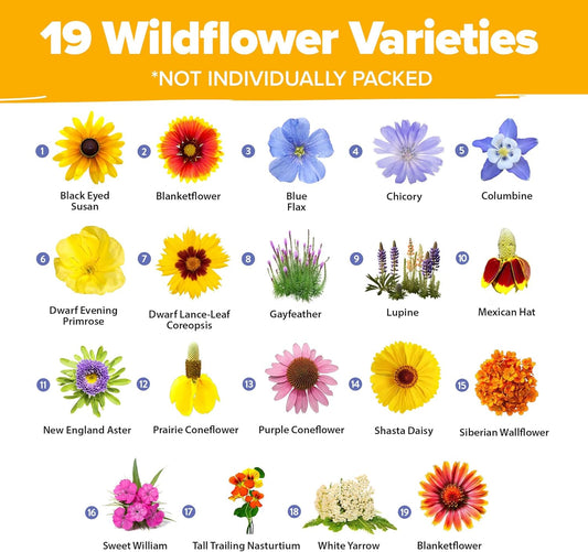 HOME GROWN Wildflower Seeds Mix - 47,400+ Non-GMO USA-SOURCED Seeds - 19 Perennial Flower Varieties for Planting Outdoors - Attract Butterflies & Birds - 3oz Wild Flower Seed Mix