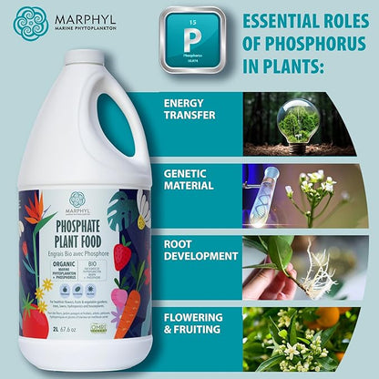 MARPHYL Organic Liquid Phosphate Soil Enhancer. Phosphorus Fertilizer for Garden, Flowers, Vegetables, Succulents, Bamboo, Hydroponics 33.8 oz