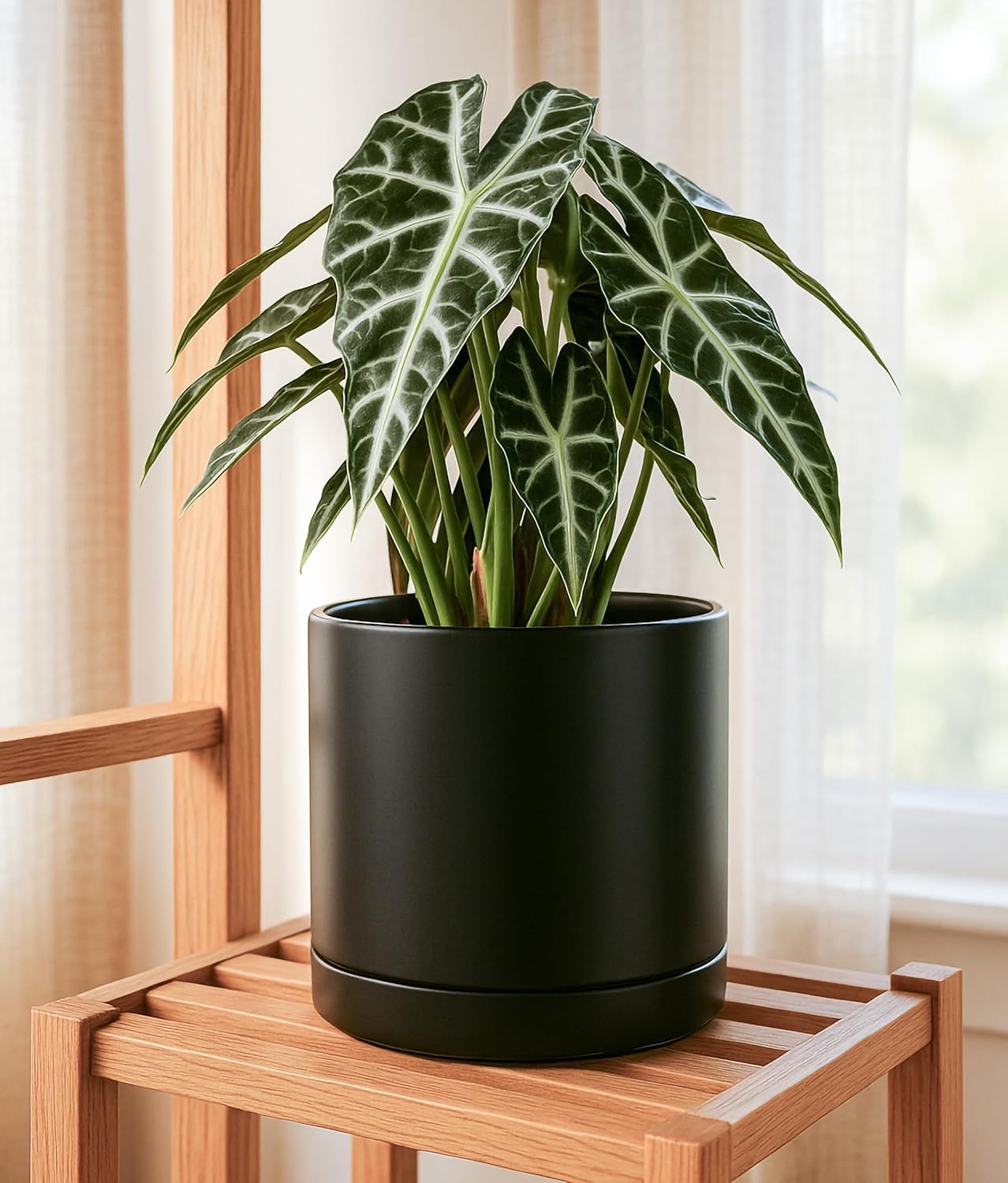 D'vine Dev 8.2 Inch & 10 Inch Ceramic Planter Pot for Plants with Drainage Hole and Saucer, Large Plant Pots Set, Black, 94-G-L-2