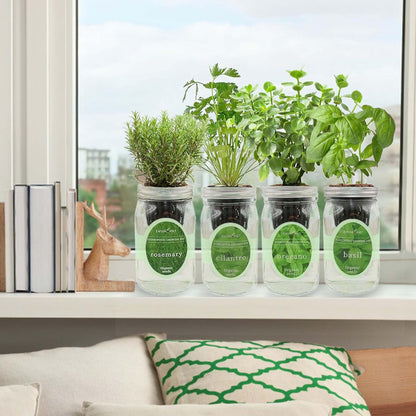 Hydroponic Mason Jar Organic Herb Seed Starter Kits - Mediterranean Herb Mix Growing Kits, Windowsill Herb Garden, Gardening Gift (Rosemary, Cilantro, Oregano, Basil)