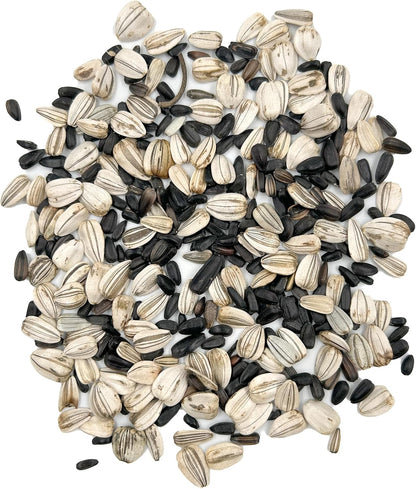 Ferry-Morse Sunsational Sunflower Bulk Flower Seeds, 1lb