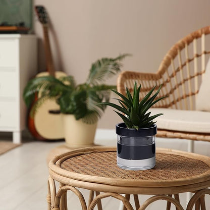 Phoenix Vine 4 Inch Self Watering Terracotta Planter, Black Terracotta Clay Pot with Glass Reservoir for Indoor Plants, Herbs, Flowers, Set of 1, 52-C-E-1