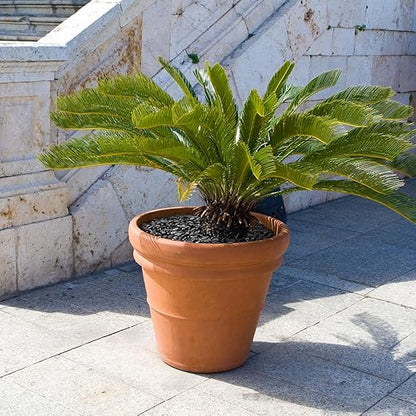 15 lbs Black Rocks for Planters, 1"-2" Decorative River Rocks for Plants, Flower Pots, Vase, Polished Garden Stones for Outdoor Landscaping, Walkways, Yard