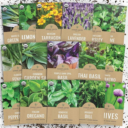 Organic Herb Seeds Variety Pack - 16 Individual Packs - 2025 Season - Basil, Cilantro, Dill, Thyme, Parsley and More! for Indoor & Outdoor Planting (Non-GMO, Certified Organic)