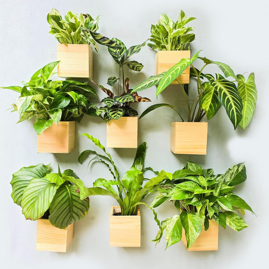 LaLaGreen Wooden Planter Box for Plants (4x4 Inch, 8 Pack) Small Square Wall Planters for Indoor Plant, Natural Wood Hanging Flower Pot Boxes Table Centerpiece Herb Balcony Home Garden Office Decor