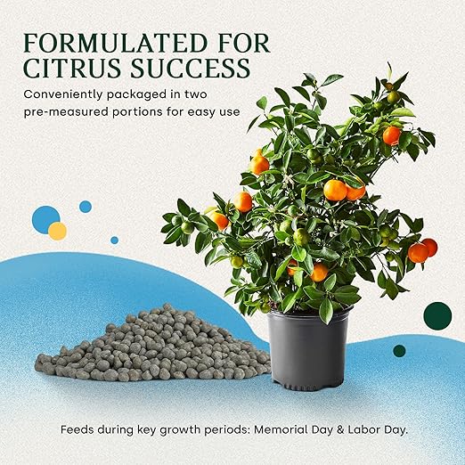 18-6-8 Slow Release Fertilizer for Indoor Plants - Citrus Plant Care, Granules Slow Release Fertilizer for Outdoor Plants, Flowers Plant, Houseplants, Garden Fertilizers by Via Citrus, 2 Pack