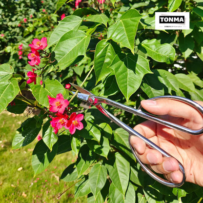 TONMA Satsuki Bonsai Scissors [Made in Japan] Professional 8.5 inch Garden Bonsai Tools Japanese Stainless Steel Hasami Pruning Scissors with Micro Serrated, Mirror Finish Process