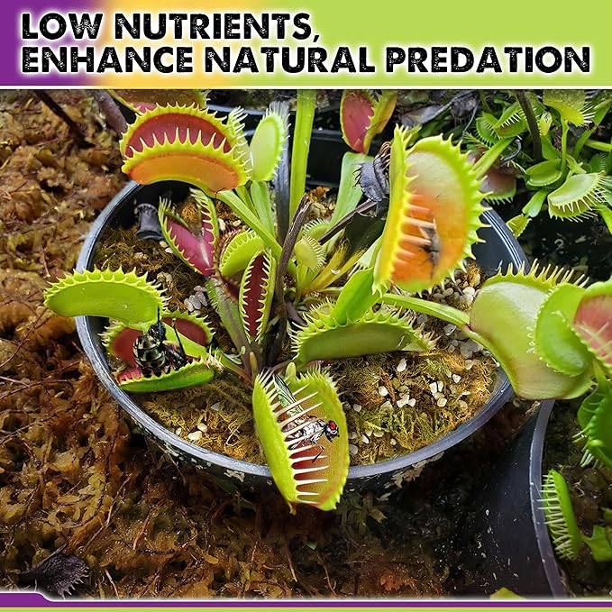 DUSPRO Carnivorous Plant Soil Mix 1.5QT-Include Forest Moss, Peat Moss, Perlite Potting Mix for Carnivorous Plants, Carnivorous Plants, Pitcher Plant, Butterworts, Sundews - Carnivorous Plant Food