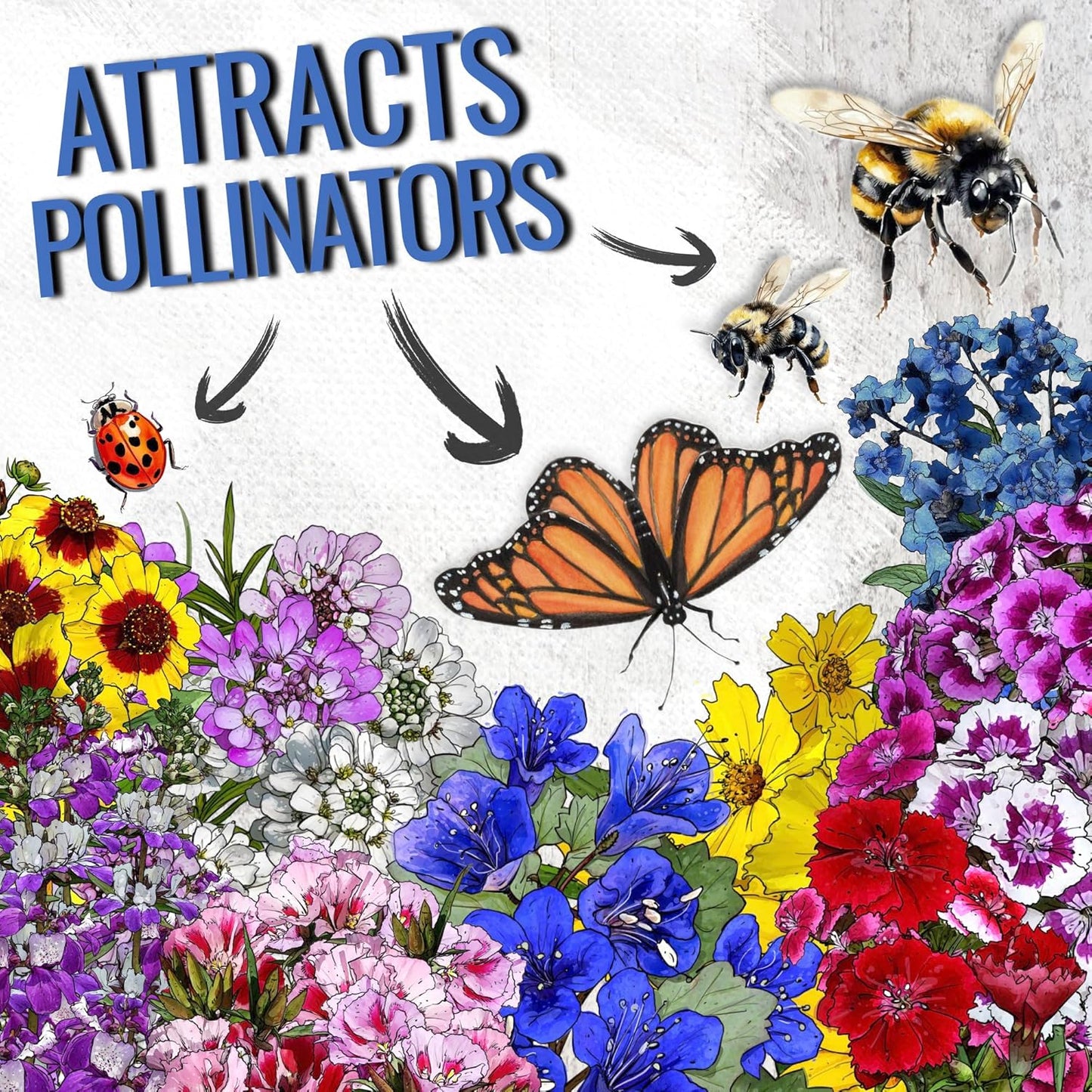 Seed Needs Low Growing Wildflower Flower Seeds for Planting | 5 Packs (1 Ounce Each) Mixture/Blend 17 Varieties | Resealable Package Multicolored Blooms Open Pollinated Mixed Species | Bulk