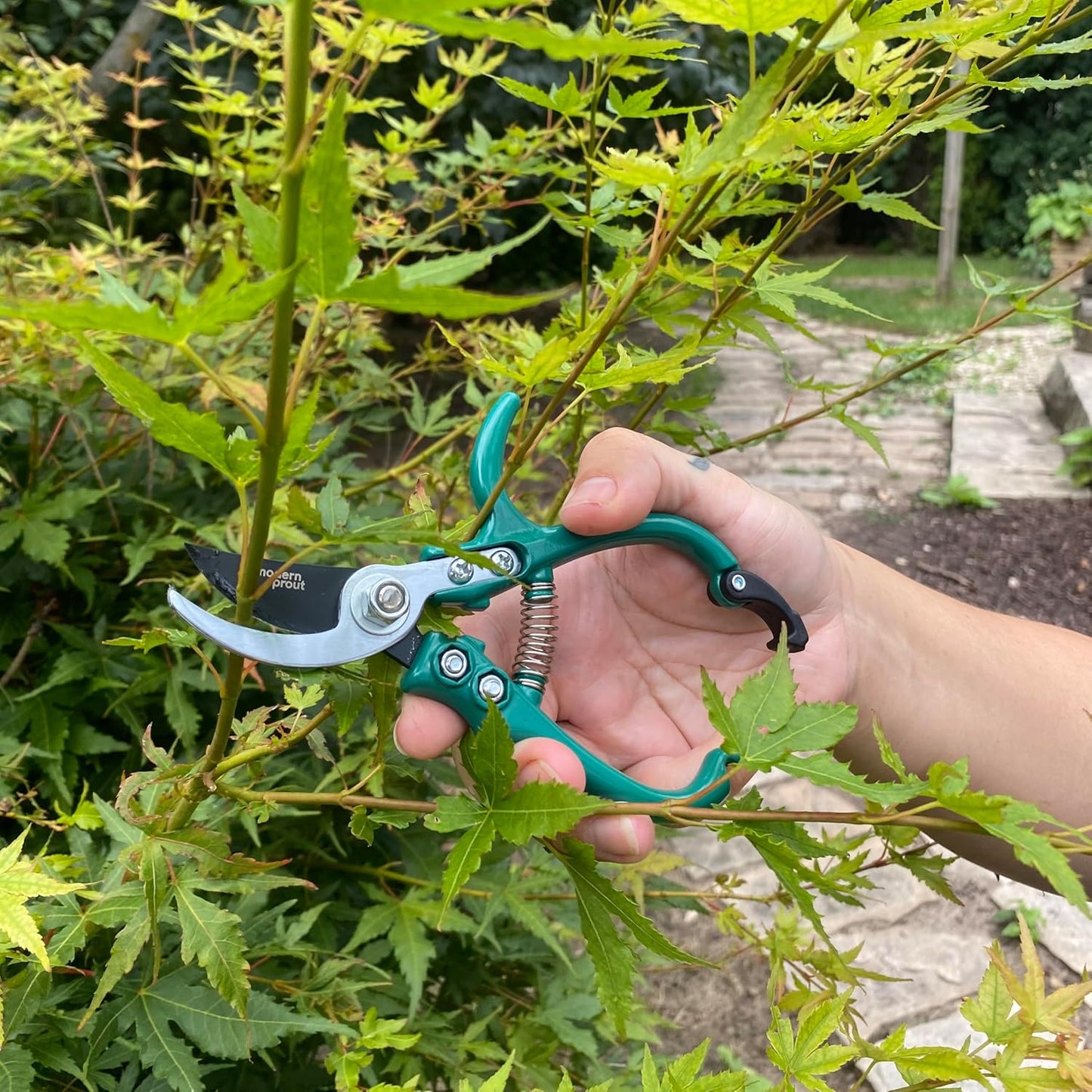 Modern Sprout Hand Pruners - Lightweight Pruning Shears W/Easy Lock- Gardening Scissors - Bypass Sharp Carbon Steel Blade - Rust Resistant - Garden Tools - Reusable Holster - Ocean