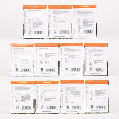 Bentley Seed Garden Variety Pack - Non-GMO Heirloom Vegetable Seeds for Planting - Assorted Herb Collection - 11 Herb Packets
