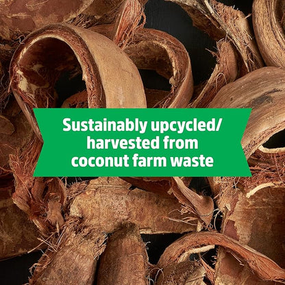 Back to the Roots Organic Seed Starting, Compressed Block expands to 12 Quarts, Made for Herbs, Veggies, Flowers