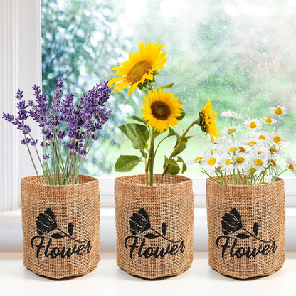 5 Kit - Growing into Shasta Daisy, Cornflower, Sunflower, Zinnia, Lavender for Indoor Outdoor Garden DIY Gifts