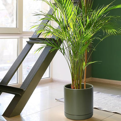 D'vine Dev Set of 2 Plants Pots, 10 Inch Ceramic Planter Pot for Plants with Drainage Hole and Saucer, Olive, 94-V-E-J